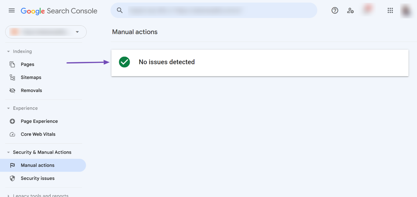 No Issues Detected