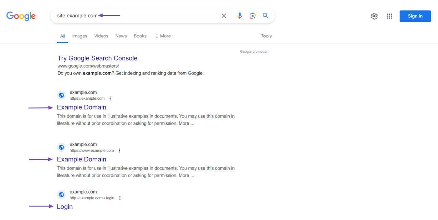  Example of a search result using the site operator