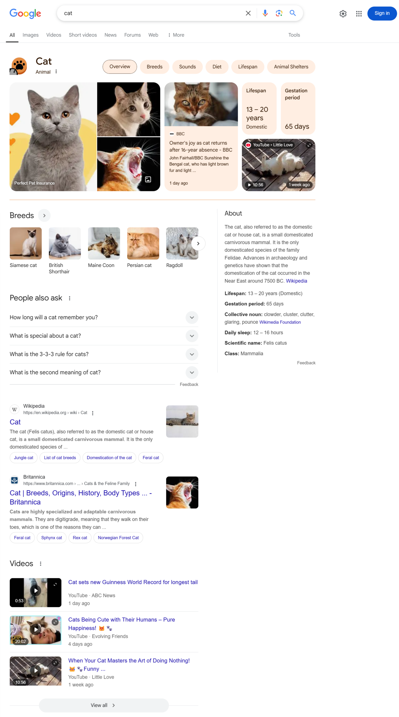 Organic results on search results pages